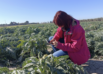 Tecnología para reducir el papeleo en el campo: la firma FieldPad del PCUMH diseña un cuaderno de campo digital para agricultores y técnicos