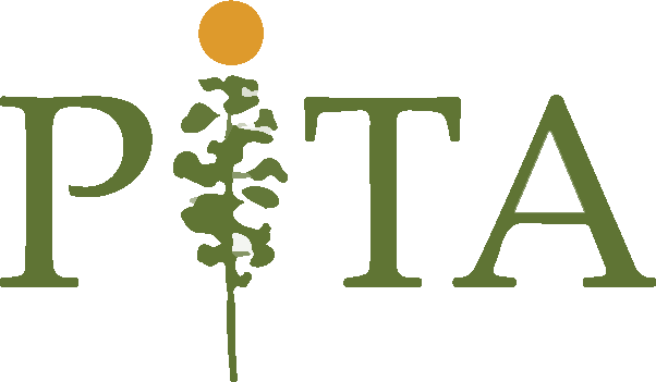 PITA